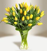Желтые тюльпаны  - Получить цветы в Праге