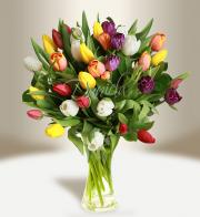 Kytice tulipánů, mix - Rozvoz květin Praha