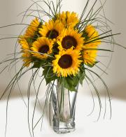 Bouquet of sunflowers - Delivery of flowers in Prague