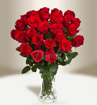 Red roses